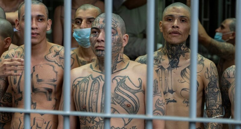 More than 25 charged in nationwide Tren de Aragua crackdown involving guns, drugs and cash