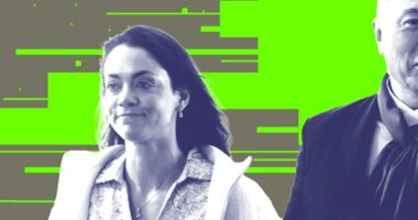 Musk’s biggest loyalist became his biggest liability