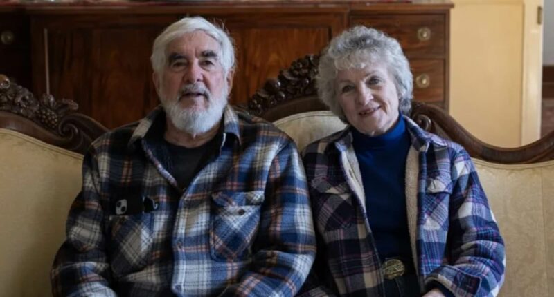 NC neighborhood is overtaken by VULTURES... and one couple is to blame