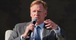 NFL chief Roger Goodell hints American city could be in line to host its first Super Bowl