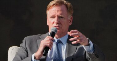 NFL chief Roger Goodell hints American city could be in line to host its first Super Bowl