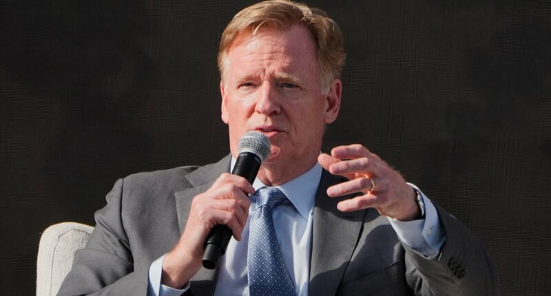 NFL chief Roger Goodell hints American city could be in line to host its first Super Bowl