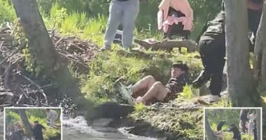 NJ beaver that attacked boy tests positive for rabies