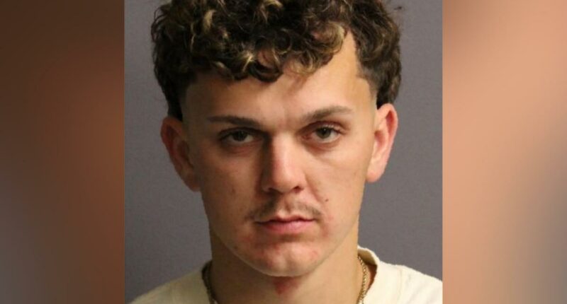 NY man allegedly drove drunk while picking up pal released after DWI arrest