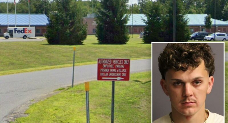 NY man shows up drunk to pick friend up from DWI arrest: cops