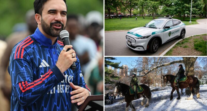 NYC Council fighting back on Mamdani's proposed cuts to Parks patrols â with plans to fund hundreds more officers