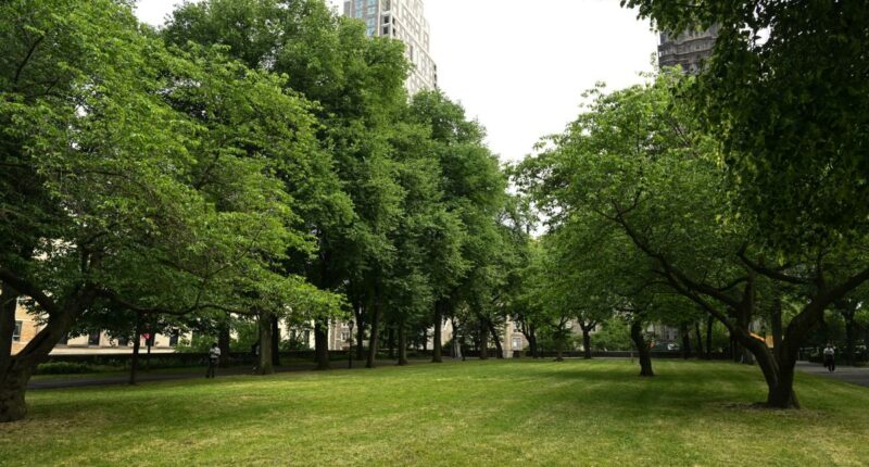 NYC taxpayers on the hook for shocking $375K tab -- just to replace 2 water fountains in 3 years