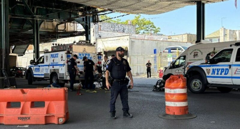 NYPD investigating after surveillance video captures group entering sewers through manholes