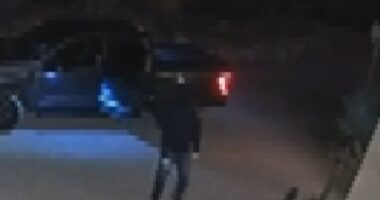 Nancy Guthrie's neighborhood on edge amid masked thief sighting