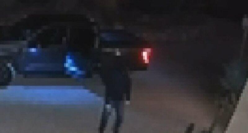 Nancy Guthrie's neighborhood on edge amid masked thief sighting