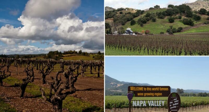 Napa Valley wineries face water crisis as experts warn industry is âunsustainableâ