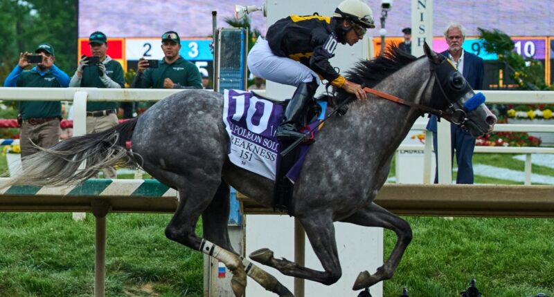 Napoleon Solo crosses the finish line first in the Preakness Stakes