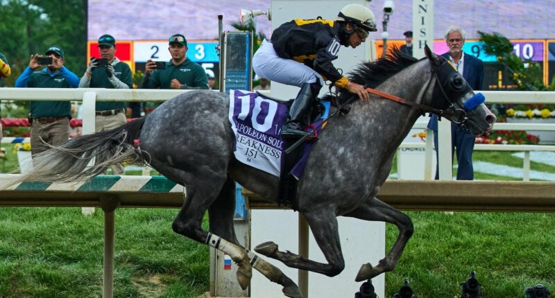 Napoleon Solo wins Preakness Stakes at Laurel Park
