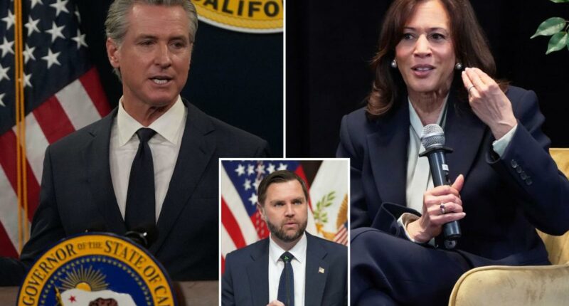 New 2028 presidential election poll released -- and it's terrible news for Newsom and Harris