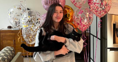 When Sarah's cat went missing, and she received a message from somebody claiming to have seen her, she was hopeful.