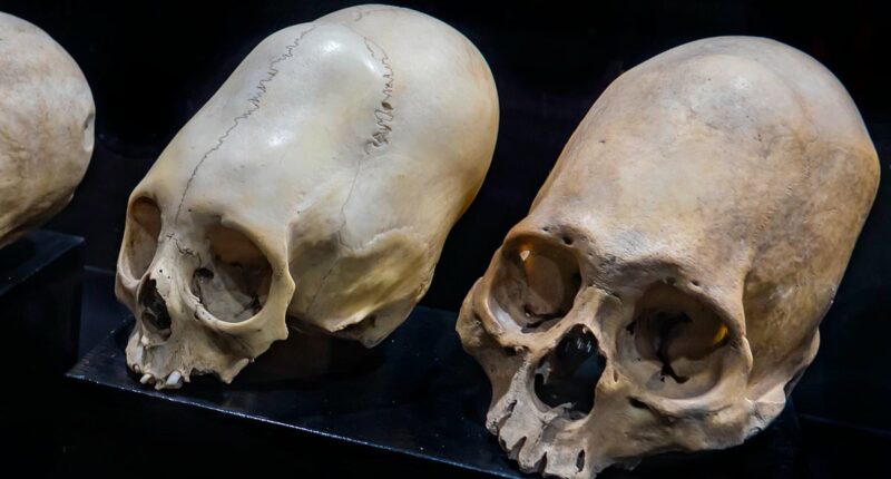 New DNA analysis of 'Conehead' mummies fuels alien origin theories