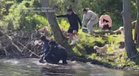 New Jersey beaver attack: 8-year-old boy injured by animal at park in Mahwah, NJ