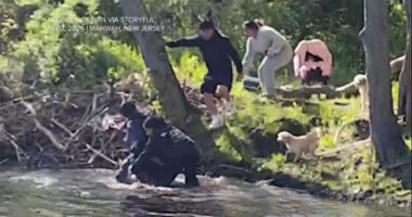 New Jersey beaver attack: 8-year-old boy injured by animal at park in Mahwah, NJ