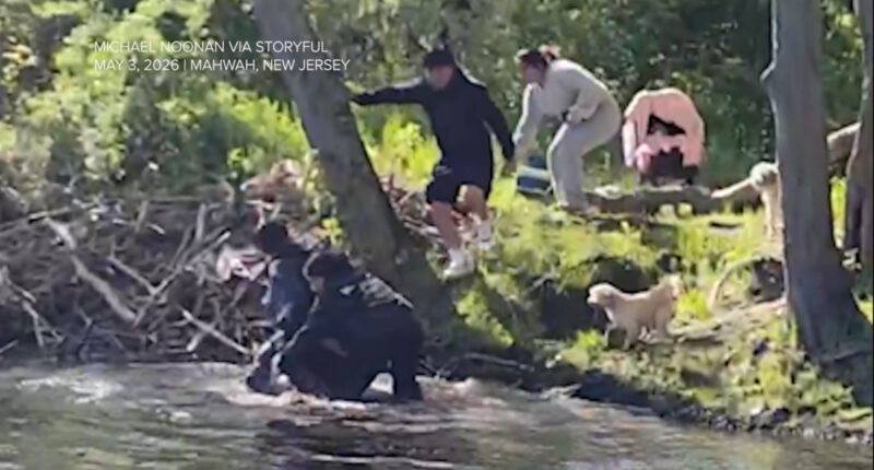 New Jersey beaver attack: 8-year-old boy injured by animal at park in Mahwah, NJ
