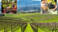 New figures reveal Napa Valley rival looming over Wine Country
