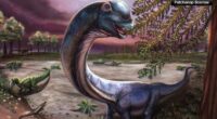 New giant dinosaur species identified from fossils unearthed in Thailand
