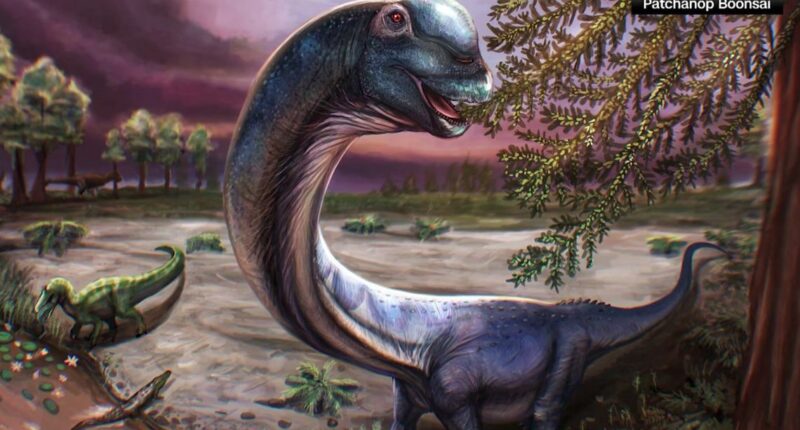 New giant dinosaur species identified from fossils unearthed in Thailand