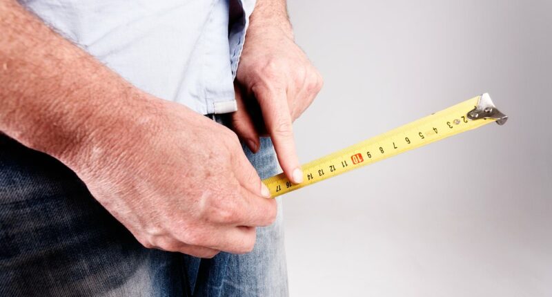 New kind of penis enlargement surgery will add inches, claims the doctor set to offer it... but there is a gruesome detail that may make some think twice
