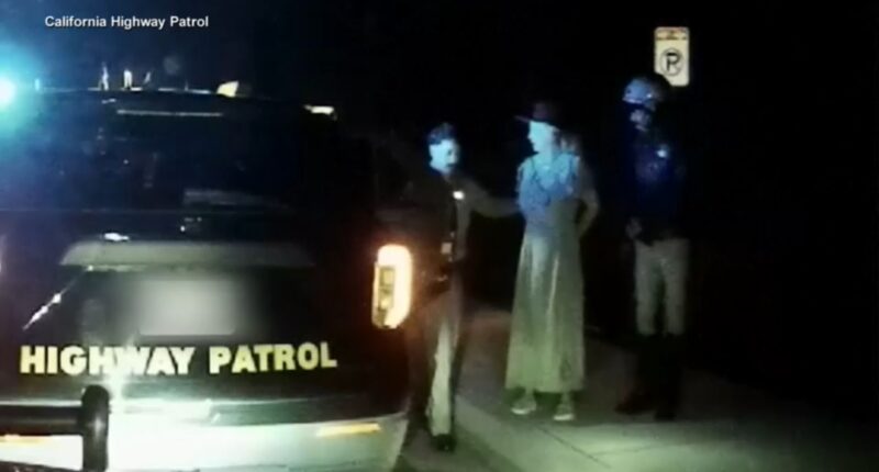 New video shows Britney Spears' DUI arrest in California