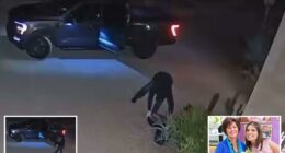 New video shows masked thief at Nancy Guthrie's neighbor's home