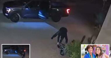 New video shows masked thief at Nancy Guthrie's neighbor's home