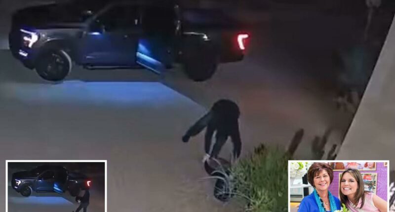 New video shows masked thief at Nancy Guthrie's neighbor's home