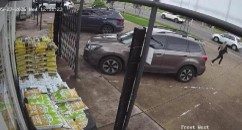 Nine-months' pregnant nursery owner chases down alleged plant thief