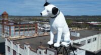Nipper, a 28-foot-tall dog statue's future in Albany is up in the air