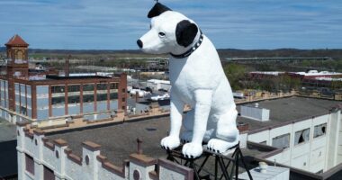 Nipper, a 28-foot-tall dog statue's future in Albany is up in the air