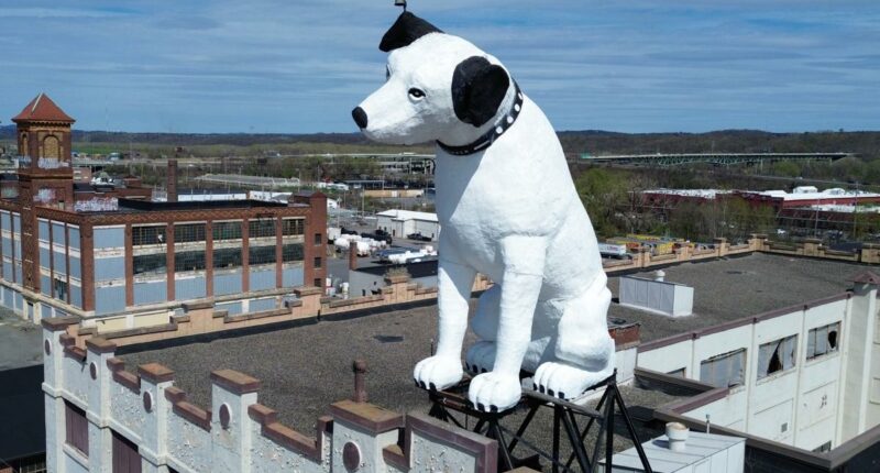 Nipper, a 28-foot-tall dog statue's future in Albany is up in the air
