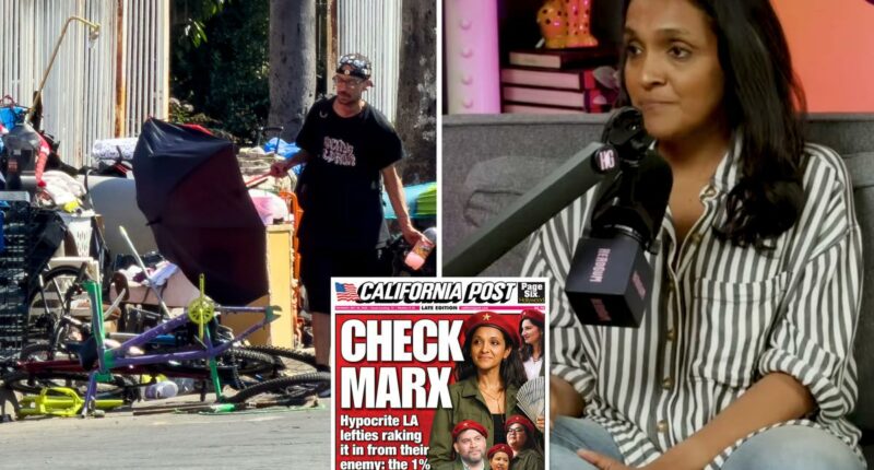 Nithya Raman goes ballistic over 'homeless encampment' outside her home