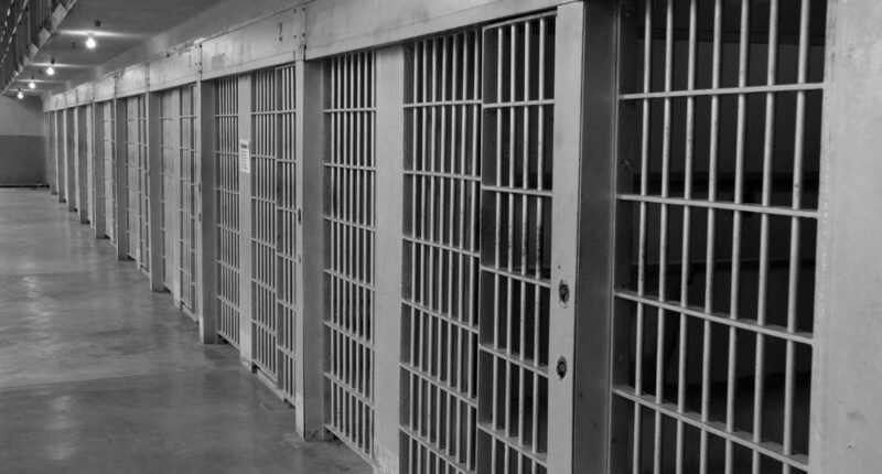 'No one is above the law': Ware County Jail detention officer accused of battery against inmate