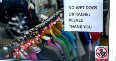 'No wet dogs or Rachel Reeves please': Inside Absersoch village