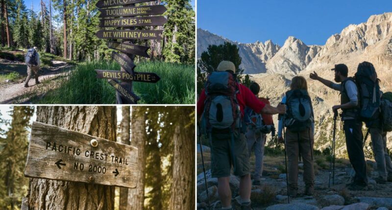 Norovirus outbreak sickens dozens of hikers on California stretch of Pacific Crest Trail