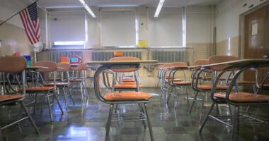 Number of K-12 public school students has declined in more than half of states, report indicates
