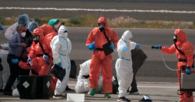 Number of hantavirus cases rises since cruise ship evacuation, including 2 Americans
