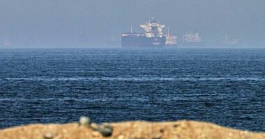 OPEC+ countries agree modest rise in production as Iran retains chokehold on key Strait of Hormuz