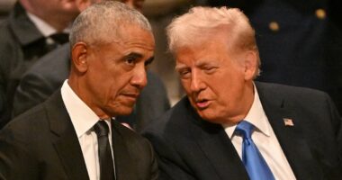 Obama confesses Trump has caused 'tension' in his marriage