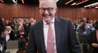 One Nation would form federal opposition, Labor re-elected, according to new polling