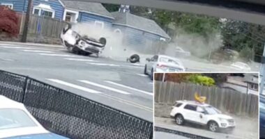 Oregon burglary suspect Scotty Oldfield nabbed after crashing SUV during police chase
