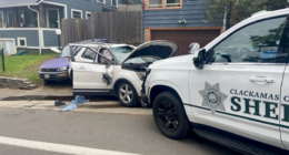 Oregon burglary suspect nabbed after crashing SUV during police chase: video