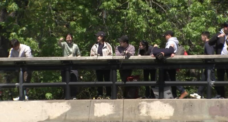 Outdoor Asian Chicago builds community in nature