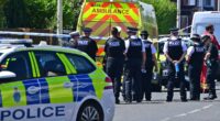 PETER HITCHENS: One thing is linking these savage acts of violence being carried out day after day on our streets... and it's not what you're being told it is