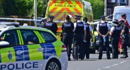 PETER HITCHENS: One thing is linking these savage acts of violence being carried out day after day on our streets... and it's not what you're being told it is
