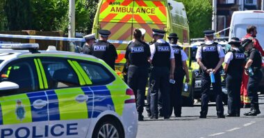 PETER HITCHENS: One thing is linking these savage acts of violence being carried out day after day on our streets... and it's not what you're being told it is